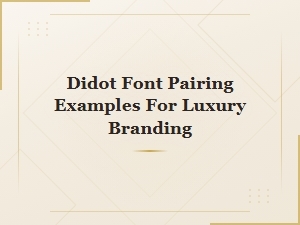 Didot Font Pairing Examples for Luxury Branding Design