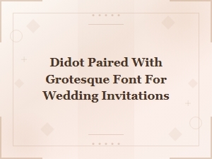 Best Didot and Grotesque Font Pairings for Wedding Invitations